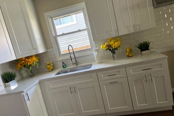 Professional cleaning company